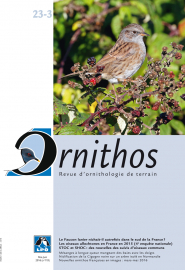 Couverture revue Ornithos